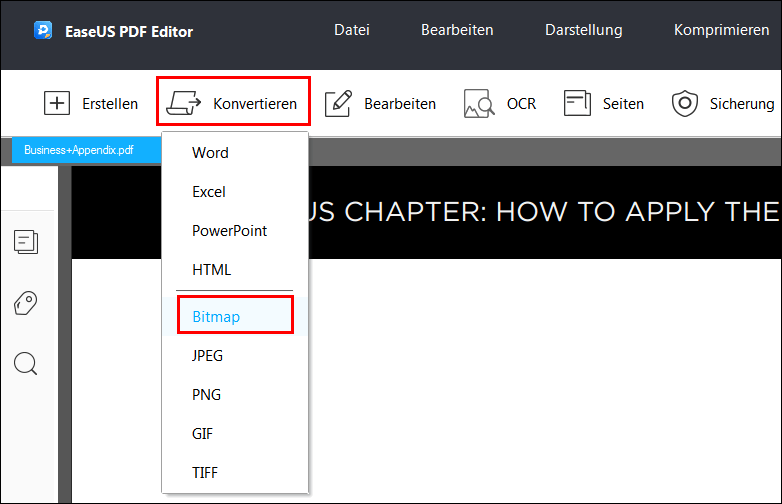 Konvertieren von PDF in Visio - Bitmap auswählen