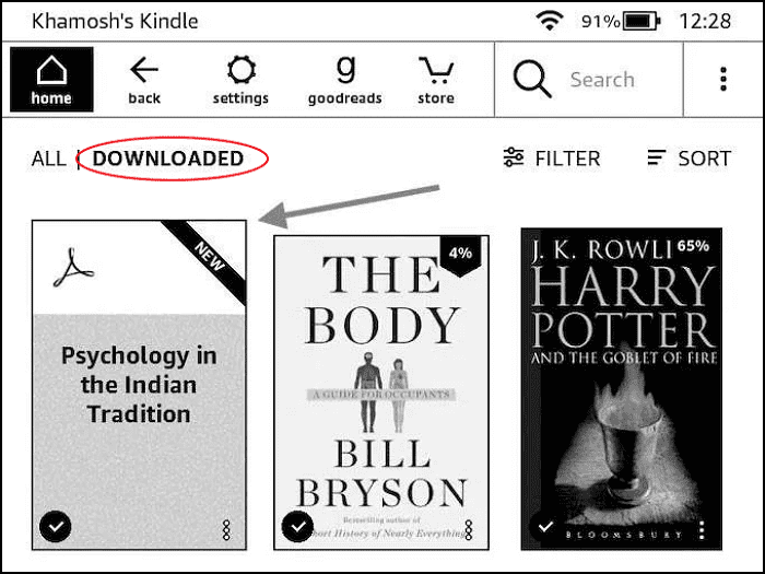 PDF auf Kindle herunterladen