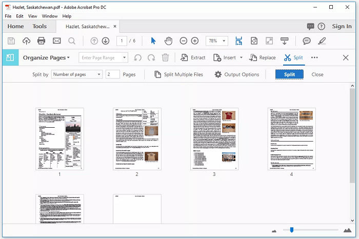 How to Split a PDF into Separate Pages Easily - EaseUS