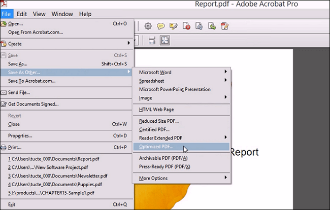 pdf to ppt converter adobe