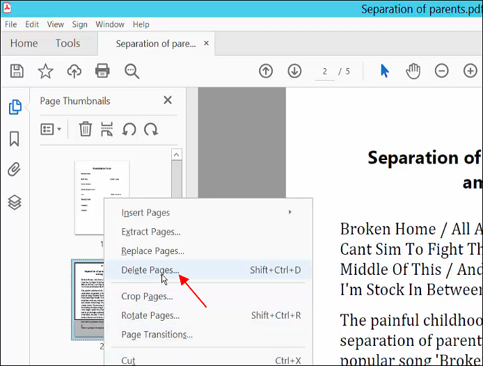 Solved: Recto verso problems when deleting a page. - Adobe Community -  9337981