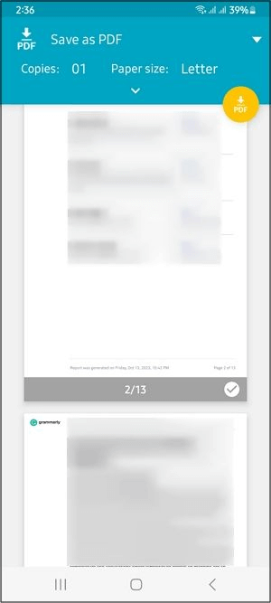 Go to Save as PDF Interface