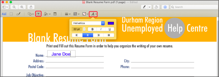 Preview Paste Text to PDF