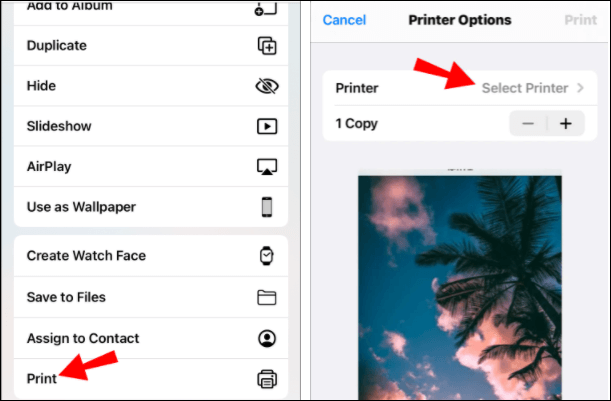 How to Print Front and Back PDF Windows 10/Mac/iPhone - EaseUS