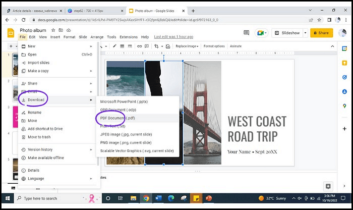 PDF Document
