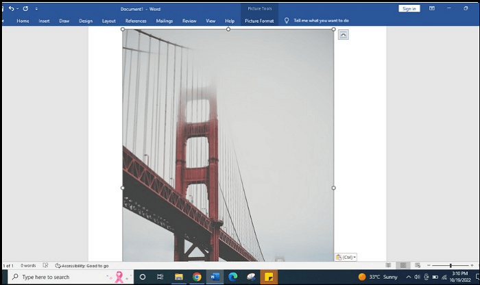 Paste The Image into The MS Word