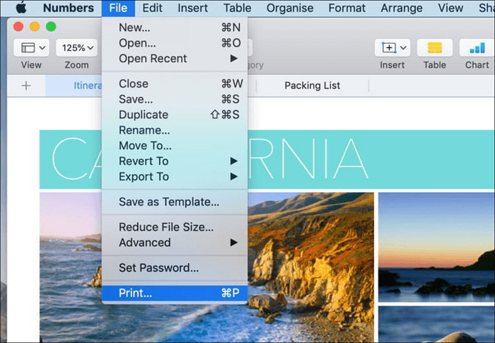 在 Mac 上選擇列印選項