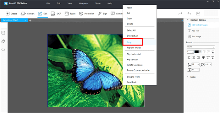 2022 | How To Crop PDF Image On Windows 10/Mac/Online - EaseUS