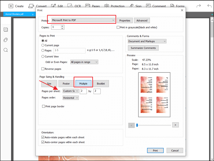 How To Print One Page Pdf On Two Pages